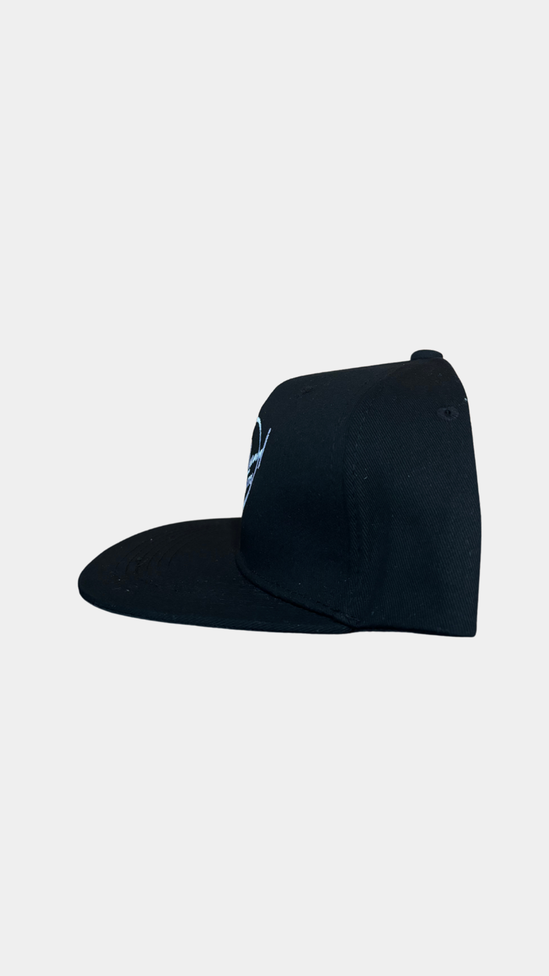 Black Trucker Hat